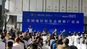 大理网络精准营销推广-网友赵德柱的博客