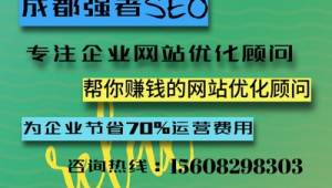 网络seo推广外包-网友赵德柱的博客