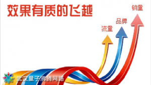 湖北网络推广外包-网友赵德柱的博客