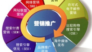 虎门网络推广-网友赵德柱的博客