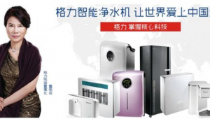 格力网络营销推广方案