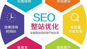 网优云seo网络推广-网友赵德柱的博客