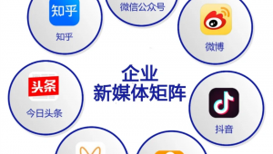 自媒体矩阵-网友赵德柱的博客