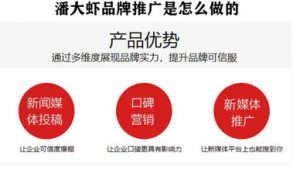 新公司网络推广方案