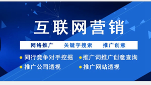 湖北网络推广哪家便宜-网友赵德柱的博客