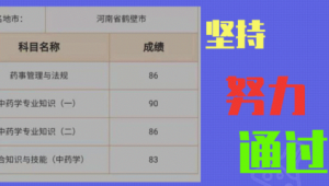 鹤壁市SEO
