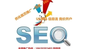 深圳seo网络推广公司-网友赵德柱的博客