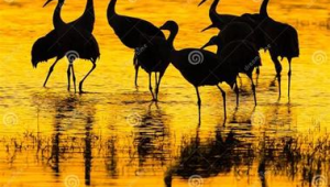 怎样找到网络推广-网友赵德柱的博客