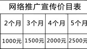 企业网络推广价目表