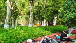 武汉新小美网络推广-网友赵德柱的博客