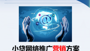 网络推广方案报告-网友赵德柱的博客