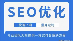 seo网络推广入门教程-网友赵德柱的博客
