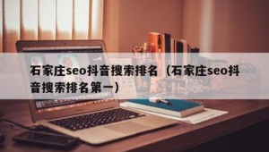 石家庄市SEO
