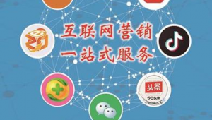 东莞网络推广代运营-网友赵德柱的博客