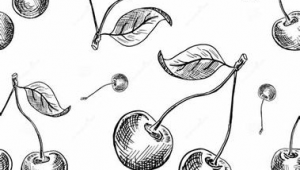 网络推广目标计划-网友赵德柱的博客