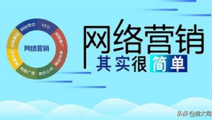 临沂做网络推广-网友赵德柱的博客