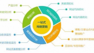 淘宝网络营销推广方案-网友赵德柱的博客