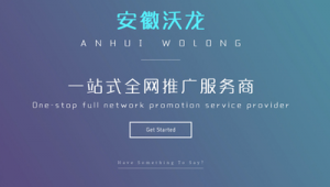 安徽网络推广平台-网友赵德柱的博客