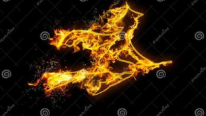 国外网络推广公司-网友赵德柱的博客