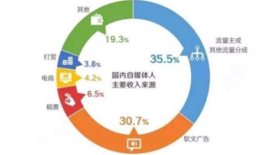自媒体收入来源-网友赵德柱的博客