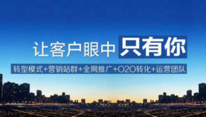 北京网络推广模式-网友赵德柱的博客