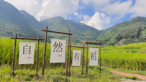 芒市网络精准营销推广-网友赵德柱的博客