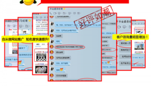 专业包年网络推广服务-网友赵德柱的博客