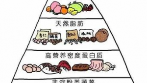 时尚网络运营推广-网友赵德柱的博客