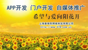 向日葵网络推广-网友赵德柱的博客