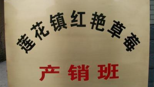 衢州市网络推广