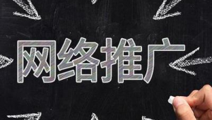 新手上班做网络推广-网友赵德柱的博客