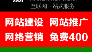 网站优化推广汉狮网络-网友赵德柱的博客