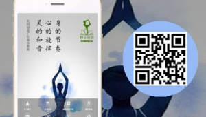 瑜伽网络推广-网友赵德柱的博客