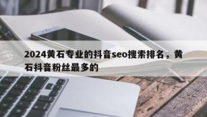 黄石市SEO-网友赵德柱的博客