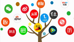 自媒体包括-网友赵德柱的博客