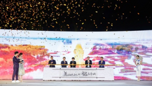 盐城网络推广小姐姐-网友赵德柱的博客