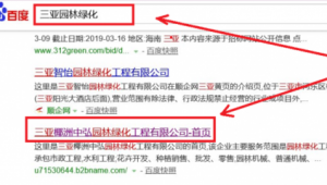 三亚市百度seo