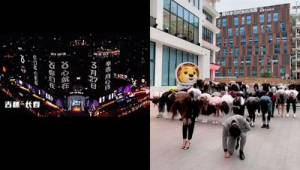 黄埔活动网络推广-网友赵德柱的博客