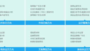 招生培训网络推广方案