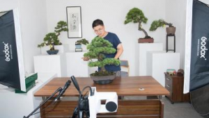 盆栽怎样做网络推广-网友赵德柱的博客