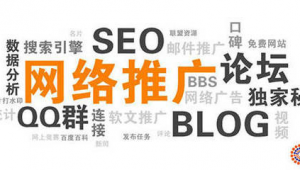 seo 网络推广技巧-网友赵德柱的博客