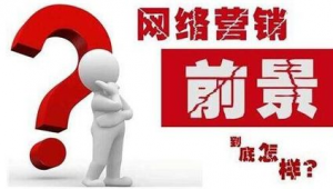 南京网络推广江苏斯点-网友赵德柱的博客