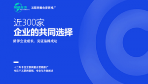 互联网络整合推广