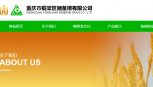 重庆网站建设网络推广