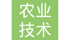 商丘网络推广站-网友赵德柱的博客