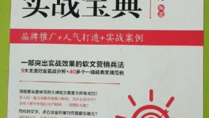 网络营销推广技巧宝典-网友赵德柱的博客