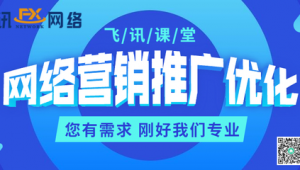 实战网络营销推广引流-网友赵德柱的博客