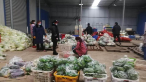 武汉网络推广兼职-网友赵德柱的博客