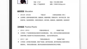 网络推广经理简历