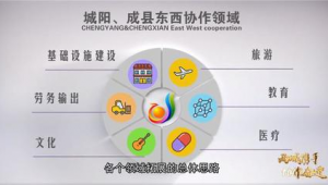 陇南市网络推广